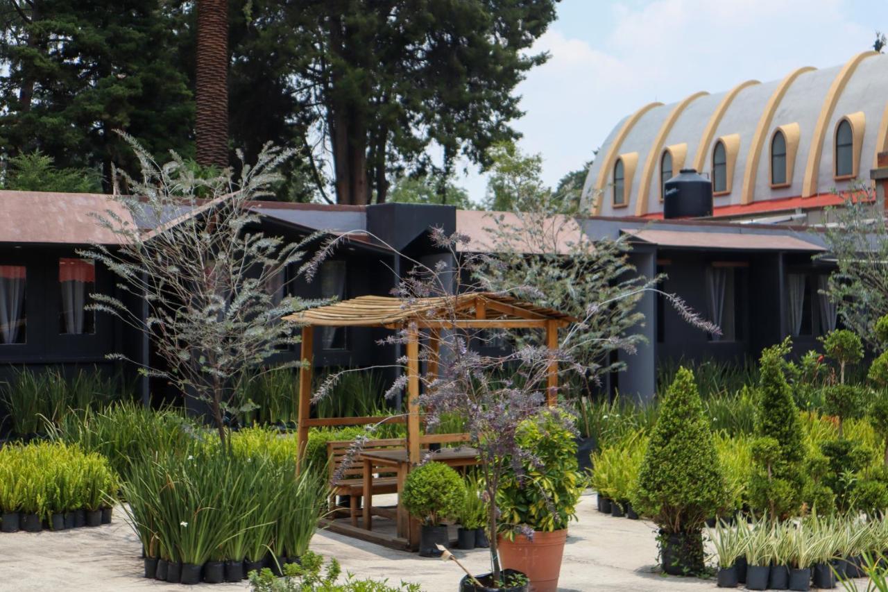 Utopia Hotel Boutique Mexico City Exteriör bild
